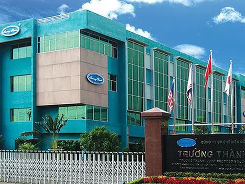 Lãi ròng của TTF tăng 129% lên 53 tỷ đồng, công ty kiểm toán vẫn nghi ngờ về khả năng hoạt động liên tục, giá cổ phiếu biến động mạnh sau khi ông Võ Trường Thành hoàn trả tài sản